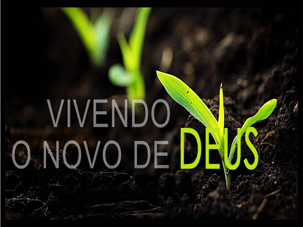 vinho-novo1